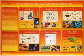 Электрифицированный стенд «Эпизоотология сельскохозяйственных животных» - fgospostavki.ru - Артём