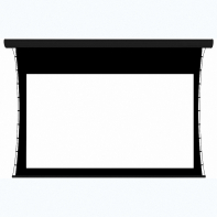 Экран настенный с электроприводом DSTPX-16918 - fgospostavki.ru - Артём