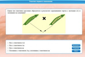 Интерактивные курсы. Биология 11 класс. Базовый. - fgospostavki.ru - Артём