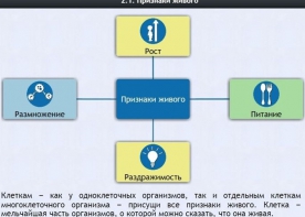 Интерактивные курсы. Биология 5 класс. Базовый - fgospostavki.ru - Артём