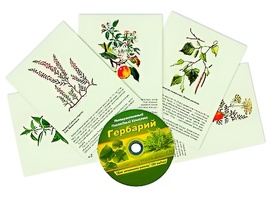 Интерактивный наглядный комплекс "Гербарий "Для начальной школы" - fgospostavki.ru - Артём