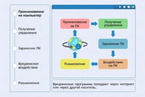 Интерактивные курсы. Информатика 10 класс . Базовый. - fgospostavki.ru - Артём