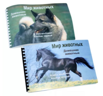 Пособие для слабовидящих - Домашние животные - fgospostavki.ru - Артём