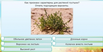 Интерактивные курсы. Окружающий мир 3 класс . Базовый. - fgospostavki.ru - Артём