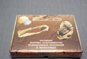 Коллекция "Формы сохранности ископаемых растений и животных" - fgospostavki.ru - Артём
