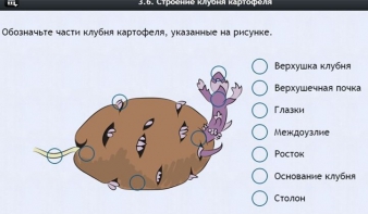 Интерактивные курсы. Биология 6 класс. Расширенный - fgospostavki.ru - Артём