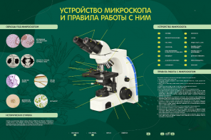 Электрифицированный стенд "Устройство микроскопа и правила работы c ним" - fgospostavki.ru - Артём