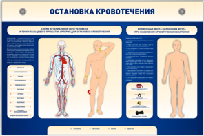 Электрифицированный стенд-тренажер "Остановка кровотечения" - fgospostavki.ru - Артём