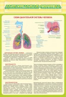 Стенд "Дыхательная система" - fgospostavki.ru - Артём