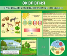 Стенд "Экология. Организация и функционирование сообществ" - fgospostavki.ru - Артём