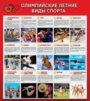 Стенд "Олимпийские летние виды спорта" - fgospostavki.ru - Артём