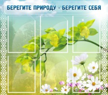 Стенд "Берегите природу - берегите себя" - fgospostavki.ru - Артём