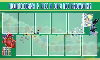 Стенд "Подготовка к ЕГЭ и ОГЭ по биологии" Вариант 2 - fgospostavki.ru - Артём