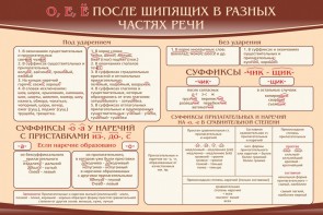 Стенд "о, е, ё, после шипящих в разных частях речи" - fgospostavki.ru - Артём
