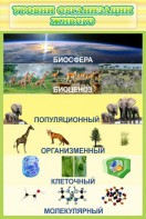 Стенд "Уровни организации живого" - fgospostavki.ru - Артём