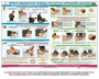 Комплект плакатов "Оказание первой доврачебной медицинской помощи" - fgospostavki.ru - Артём