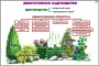 Комплект кодотранспарантов "Культурные растения" - fgospostavki.ru - Артём