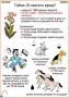 Комплект кодотранспарантов "Ядовитые растения" - fgospostavki.ru - Артём